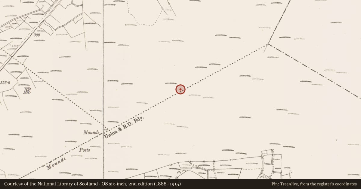 Ordnance Survey six-inch map, 2nd edition (1888–1915) covering the location of Structure - peatland, Killavally, County Westmeath, with a pin at the register's coordinates