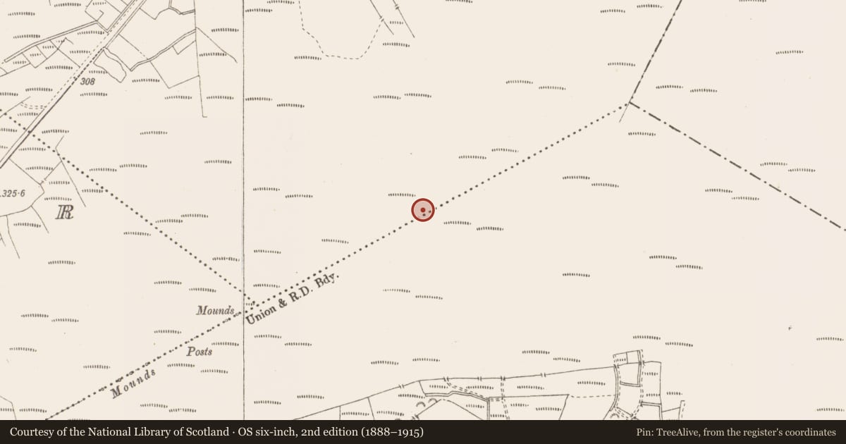 Ordnance Survey six-inch map, 2nd edition (1888–1915) covering the location of Structure - peatland, Killavally, County Westmeath, with a pin at the register's coordinates
