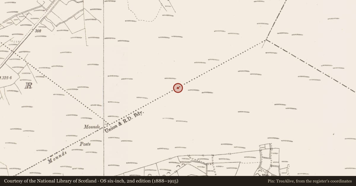 Ordnance Survey six-inch map, 2nd edition (1888–1915) covering the location of Structure - peatland, Killavally, County Westmeath, with a pin at the register's coordinates