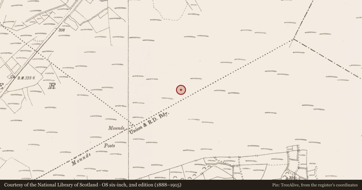 Ordnance Survey six-inch map, 2nd edition (1888–1915) covering the location of Structure - peatland, Killavally, County Westmeath, with a pin at the register's coordinates