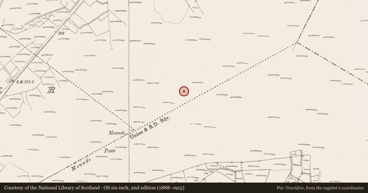 Ordnance Survey six-inch map, 2nd edition (1888–1915) covering the location of Structure - peatland, Killavally, County Westmeath, with a pin at the register's coordinates