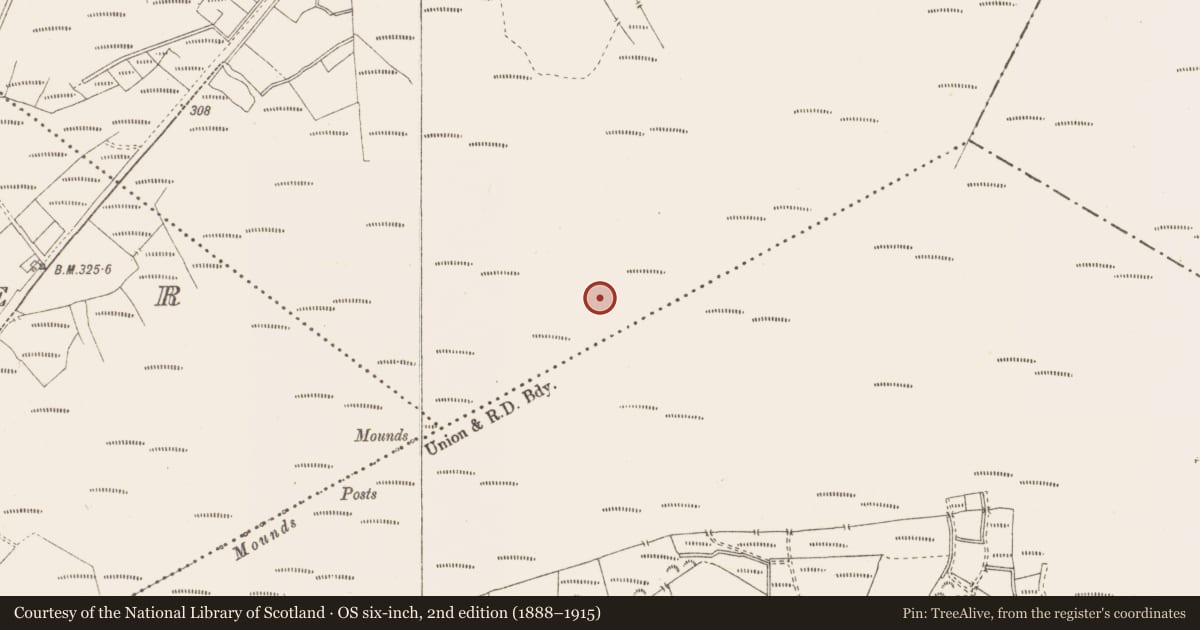 Ordnance Survey six-inch map, 2nd edition (1888–1915) covering the location of Structure - peatland, Killavally, County Westmeath, with a pin at the register's coordinates