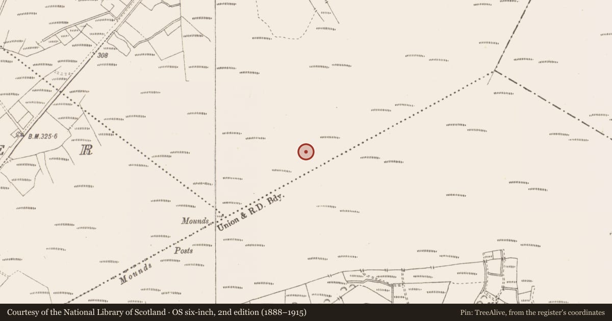 Ordnance Survey six-inch map, 2nd edition (1888–1915) covering the location of Structure - peatland, Killavally, County Westmeath, with a pin at the register's coordinates