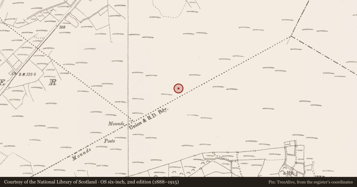 Ordnance Survey six-inch map, 2nd edition (1888–1915) covering the location of Structure - peatland, Killavally, County Westmeath, with a pin at the register's coordinates