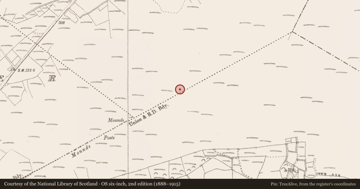 Ordnance Survey six-inch map, 2nd edition (1888–1915) covering the location of Structure - peatland, Killavally, County Westmeath, with a pin at the register's coordinates