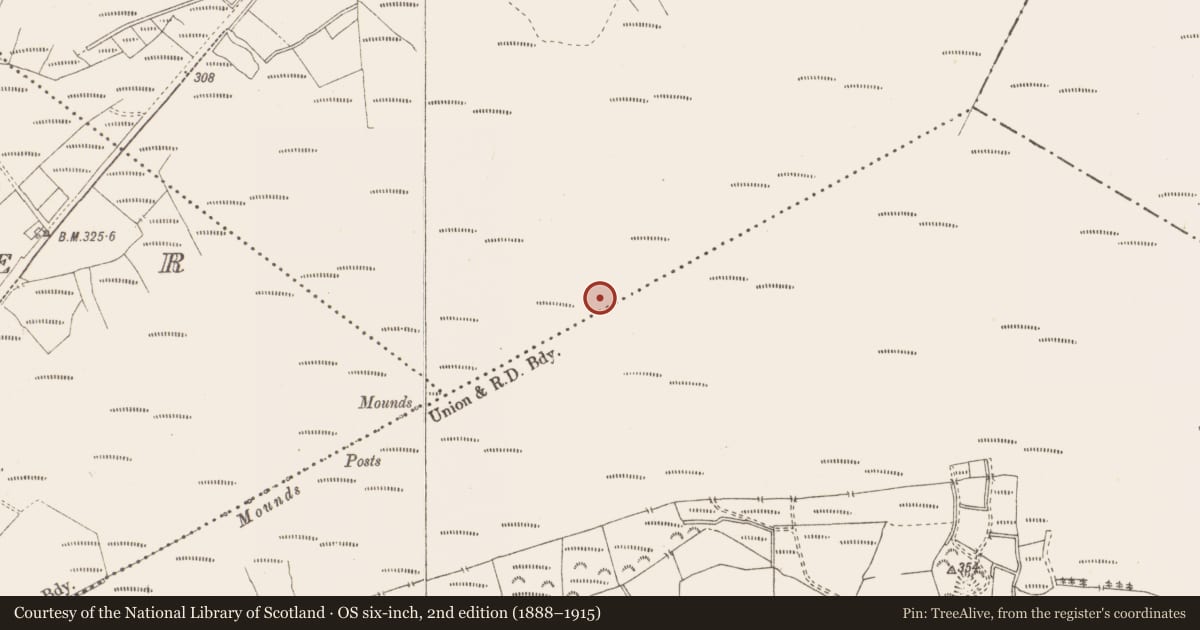 Ordnance Survey six-inch map, 2nd edition (1888–1915) covering the location of Structure - peatland, Killavally, County Westmeath, with a pin at the register's coordinates