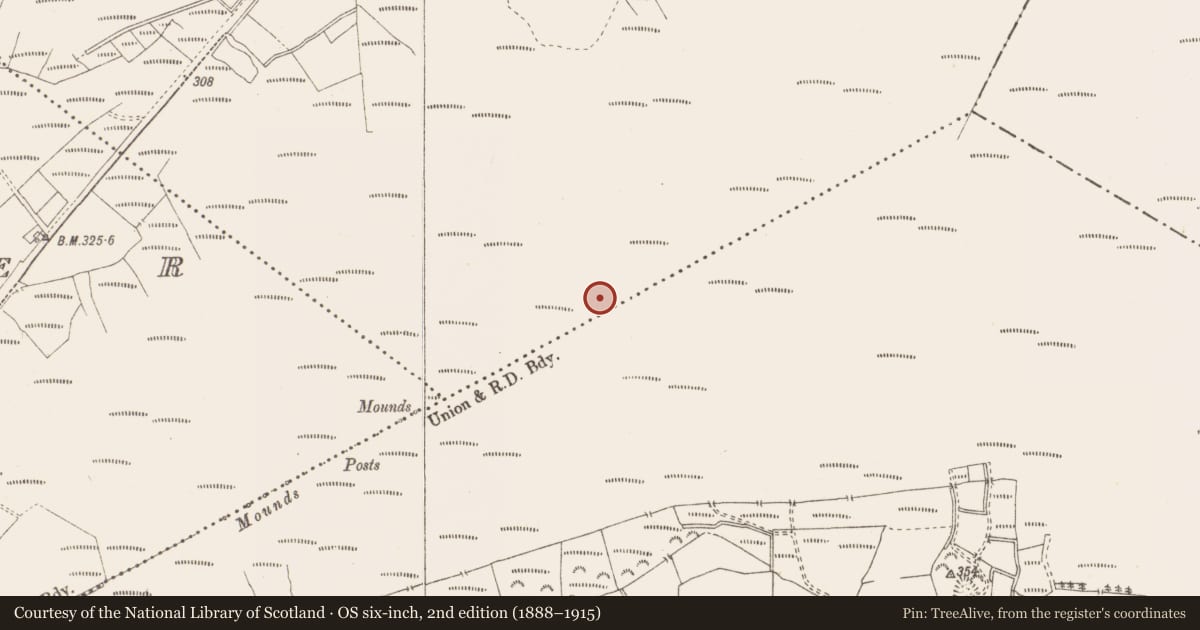 Ordnance Survey six-inch map, 2nd edition (1888–1915) covering the location of Structure - peatland, Killavally, County Westmeath, with a pin at the register's coordinates