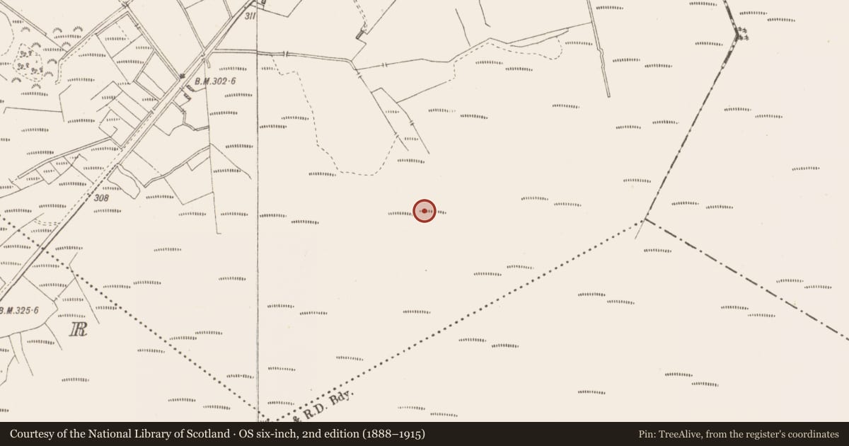 Ordnance Survey six-inch map, 2nd edition (1888–1915) covering the location of Structure - peatland, Killavally, County Westmeath, with a pin at the register's coordinates