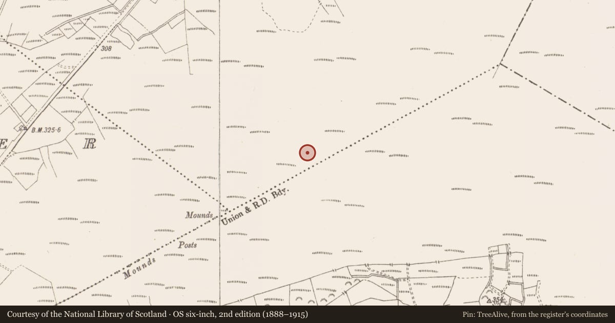 Ordnance Survey six-inch map, 2nd edition (1888–1915) covering the location of Structure - peatland, Killavally, County Westmeath, with a pin at the register's coordinates