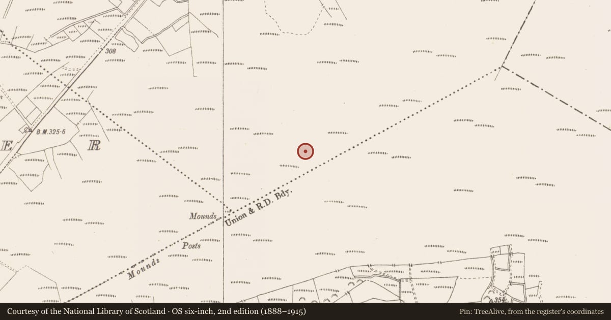 Ordnance Survey six-inch map, 2nd edition (1888–1915) covering the location of Structure - peatland, Killavally, County Westmeath, with a pin at the register's coordinates