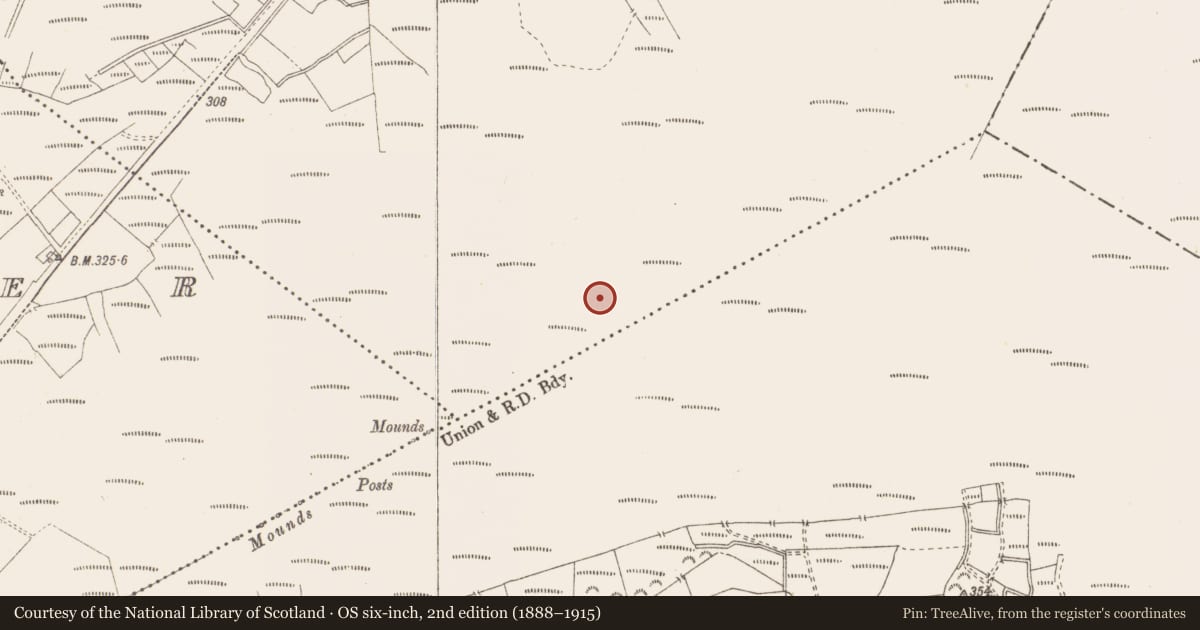 Ordnance Survey six-inch map, 2nd edition (1888–1915) covering the location of Structure - peatland, Killavally, County Westmeath, with a pin at the register's coordinates