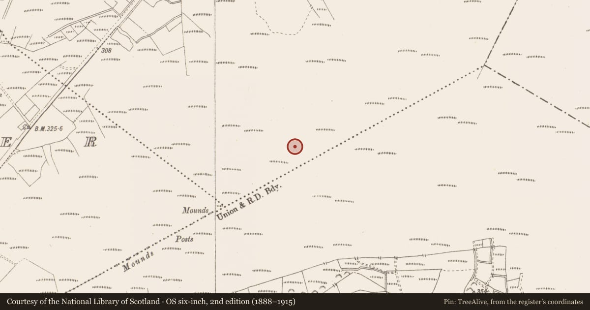 Ordnance Survey six-inch map, 2nd edition (1888–1915) covering the location of Structure - peatland, Killavally, County Westmeath, with a pin at the register's coordinates