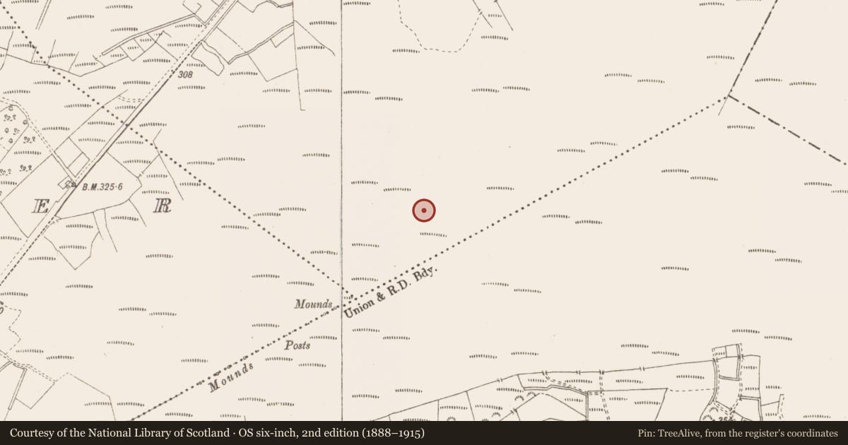 Ordnance Survey six-inch map, 2nd edition (1888–1915) covering the location of Structure - peatland, Killavally, County Westmeath, with a pin at the register's coordinates