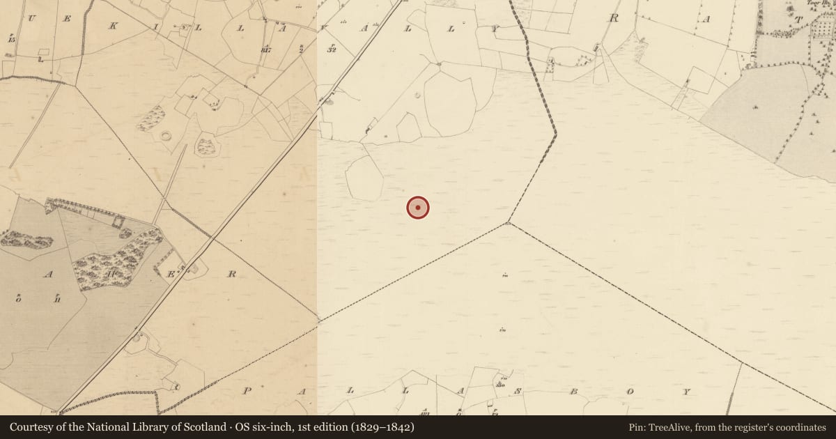 Ordnance Survey six-inch map, 1st edition (1829–1842) covering the location of Structure - peatland, Killavally, County Westmeath, with a pin at the register's coordinates