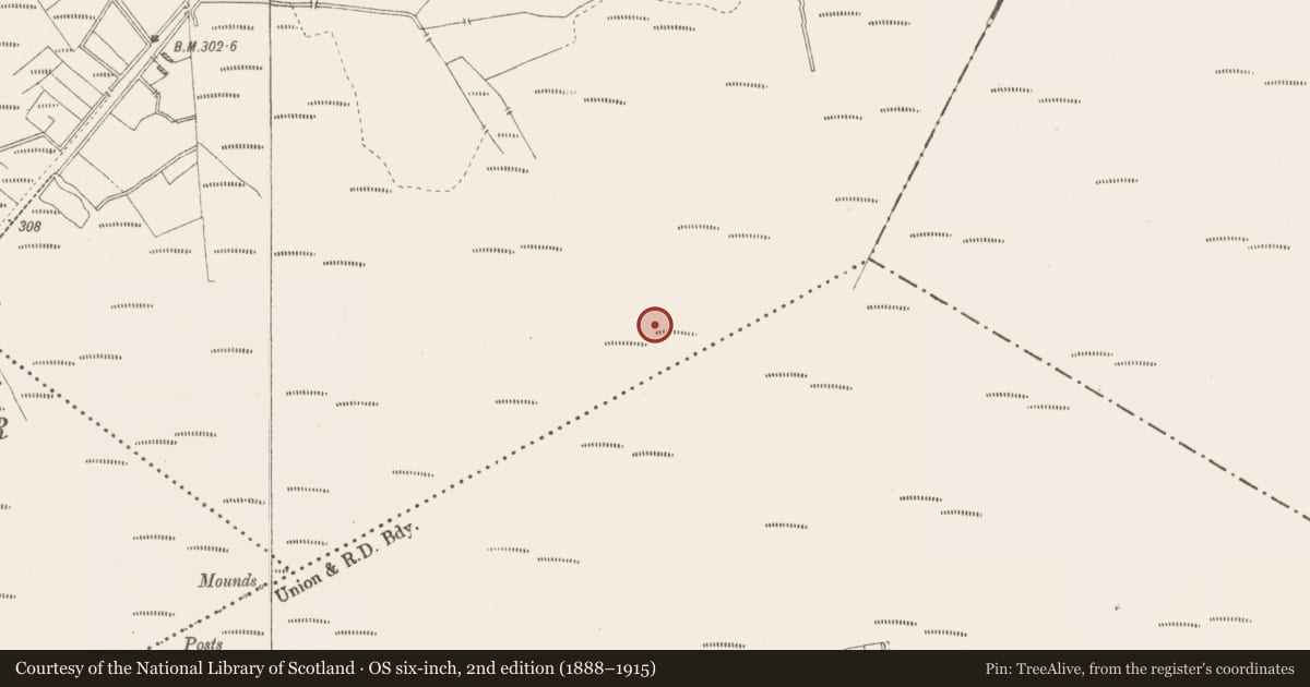 Ordnance Survey six-inch map, 2nd edition (1888–1915) covering the location of Structure - peatland, Killavally, County Westmeath, with a pin at the register's coordinates