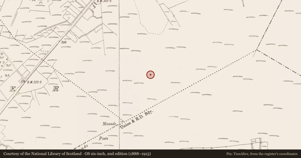 Ordnance Survey six-inch map, 2nd edition (1888–1915) covering the location of Road - class 3 togher, Killavally, County Westmeath, with a pin at the register's coordinates