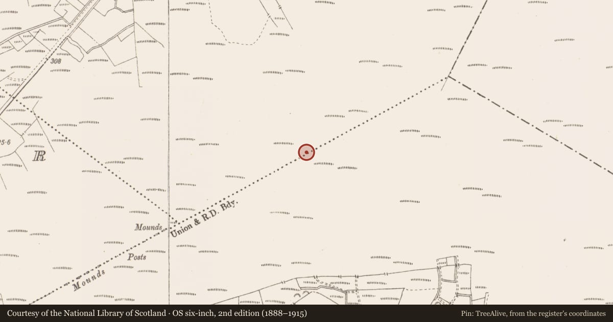 Ordnance Survey six-inch map, 2nd edition (1888–1915) covering the location of Road - class 3 togher, Killavally, County Westmeath, with a pin at the register's coordinates