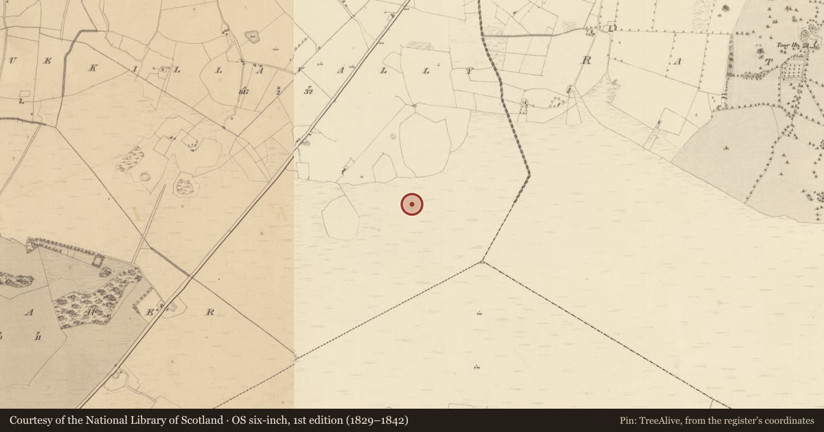 Ordnance Survey six-inch map, 1st edition (1829–1842) covering the location of Structure - peatland, Killavally, County Westmeath, with a pin at the register's coordinates