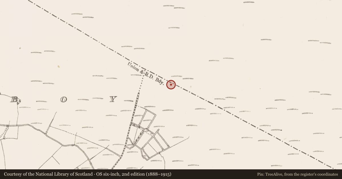 Ordnance Survey six-inch map, 2nd edition (1888–1915) covering the location of Structure - peatland, Montrath, County Westmeath, with a pin at the register's coordinates