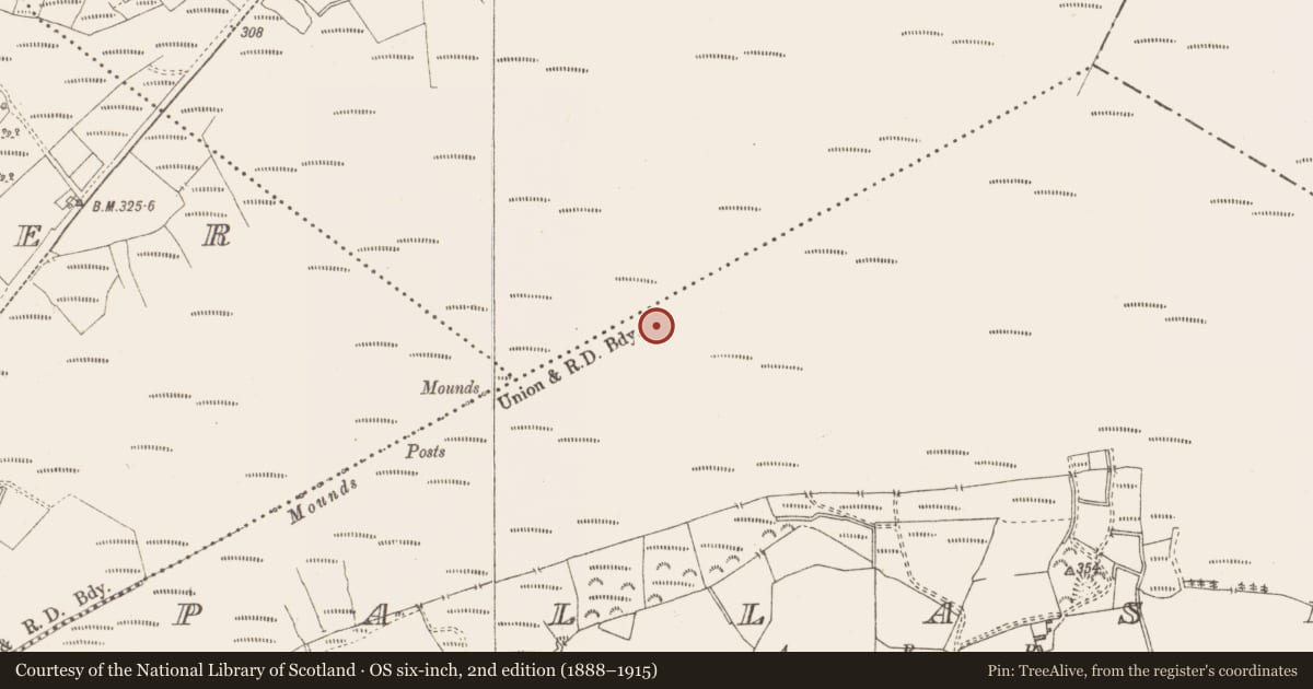 Ordnance Survey six-inch map, 2nd edition (1888–1915) covering the location of Road - class 3 togher, Pallasboy, County Westmeath, with a pin at the register's coordinates