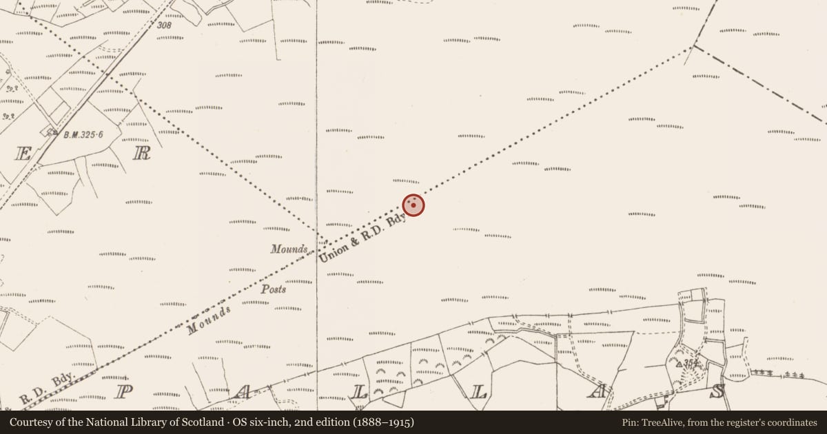 Ordnance Survey six-inch map, 2nd edition (1888–1915) covering the location of Structure - peatland, Pallasboy, County Westmeath, with a pin at the register's coordinates