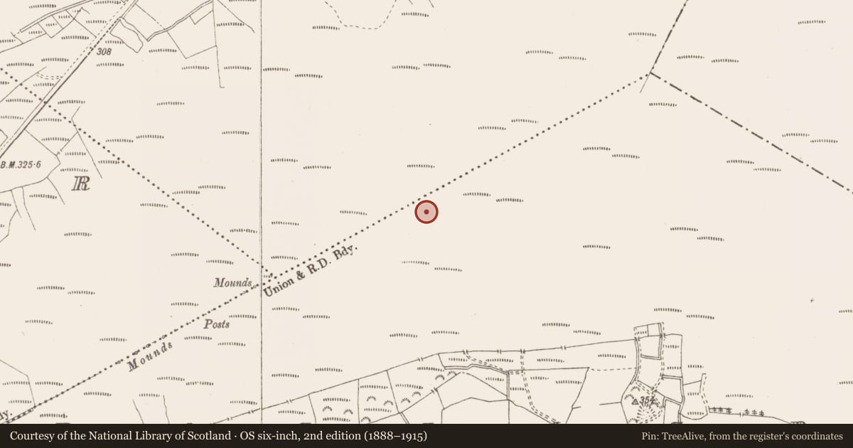 Ordnance Survey six-inch map, 2nd edition (1888–1915) covering the location of Structure - peatland, Pallasboy, County Westmeath, with a pin at the register's coordinates