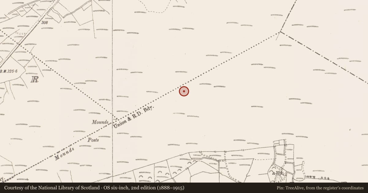 Ordnance Survey six-inch map, 2nd edition (1888–1915) covering the location of Structure - peatland, Pallasboy, County Westmeath, with a pin at the register's coordinates