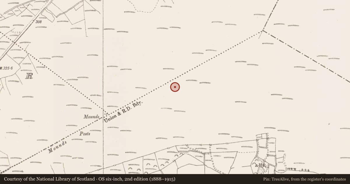 Ordnance Survey six-inch map, 2nd edition (1888–1915) covering the location of Structure - peatland, Pallasboy, County Westmeath, with a pin at the register's coordinates