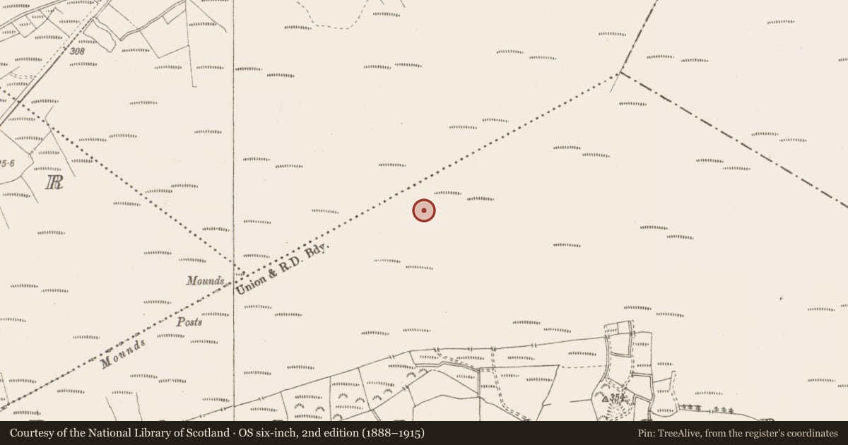 Ordnance Survey six-inch map, 2nd edition (1888–1915) covering the location of Structure - peatland, Pallasboy, County Westmeath, with a pin at the register's coordinates