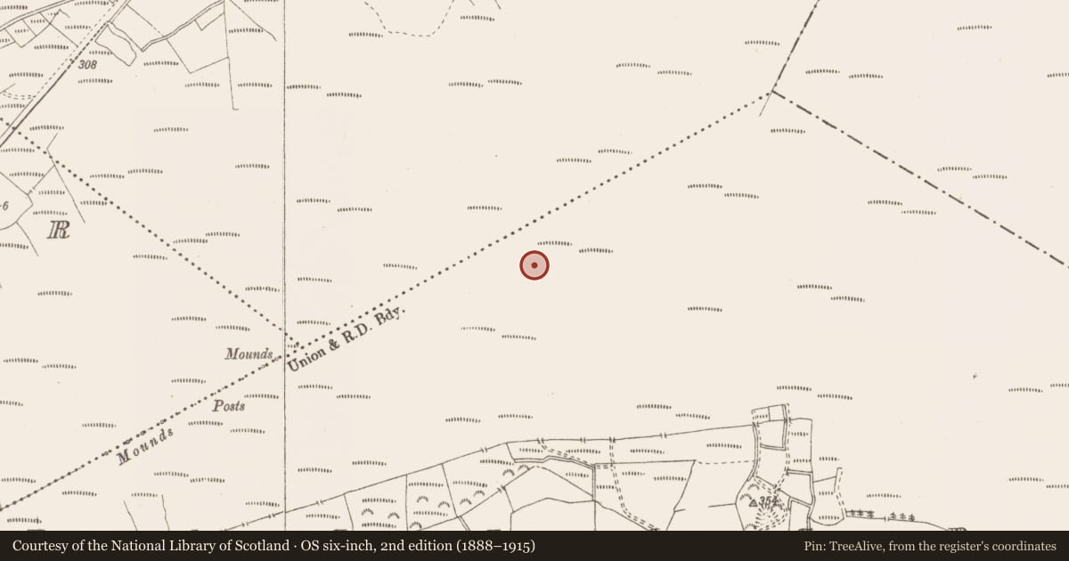 Ordnance Survey six-inch map, 2nd edition (1888–1915) covering the location of Structure - peatland, Pallasboy, County Westmeath, with a pin at the register's coordinates