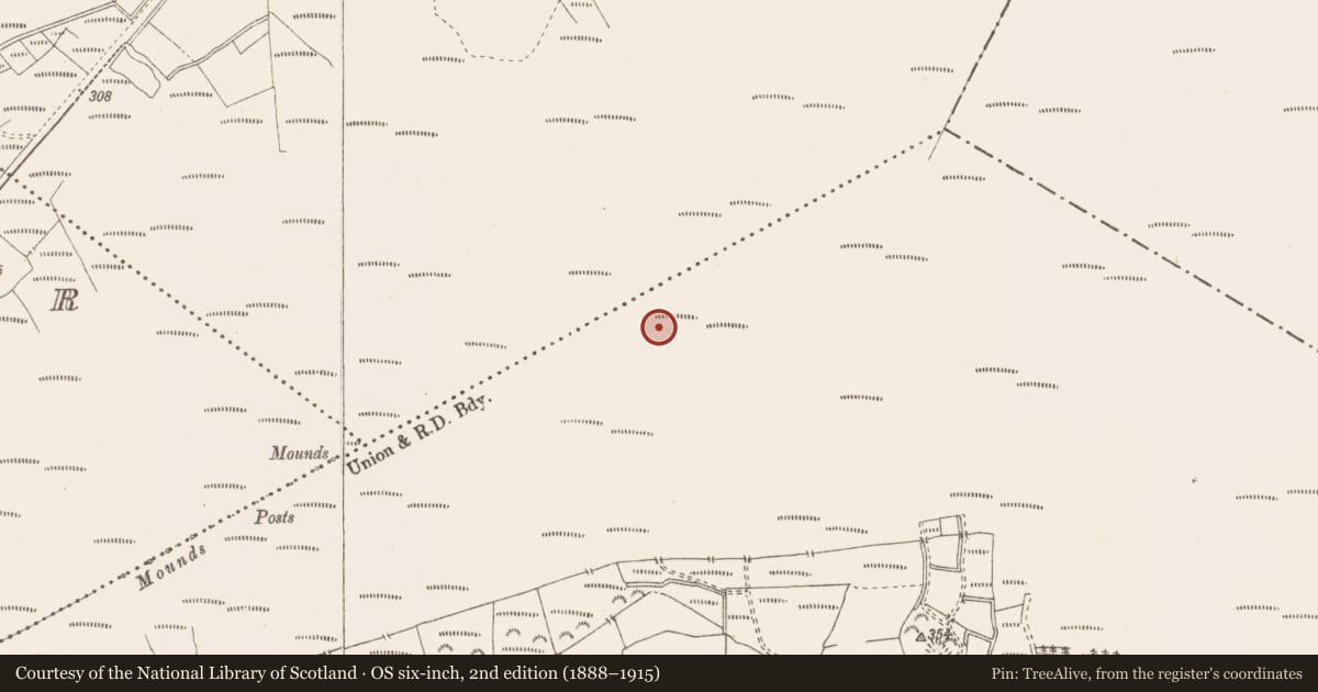 Ordnance Survey six-inch map, 2nd edition (1888–1915) covering the location of Structure - peatland, Pallasboy, County Westmeath, with a pin at the register's coordinates