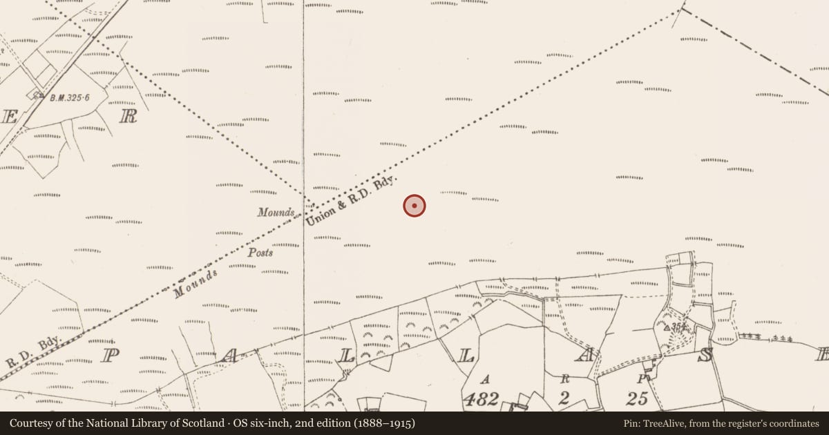 Ordnance Survey six-inch map, 2nd edition (1888–1915) covering the location of Structure - peatland, Pallasboy, County Westmeath, with a pin at the register's coordinates