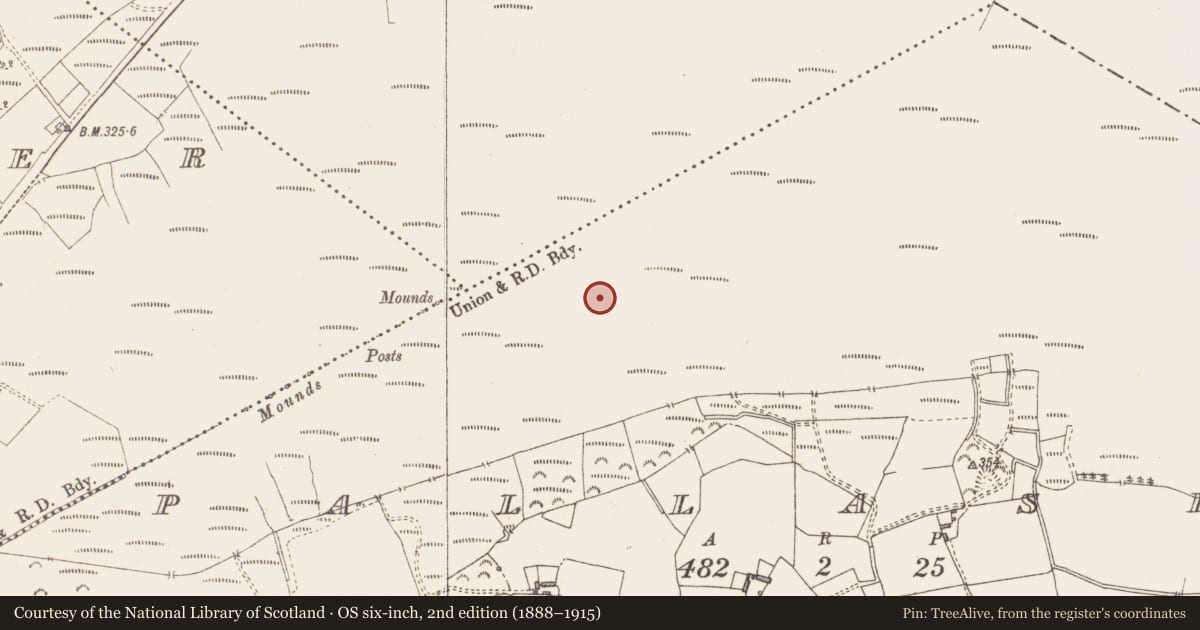 Ordnance Survey six-inch map, 2nd edition (1888–1915) covering the location of Structure - peatland, Pallasboy, County Westmeath, with a pin at the register's coordinates