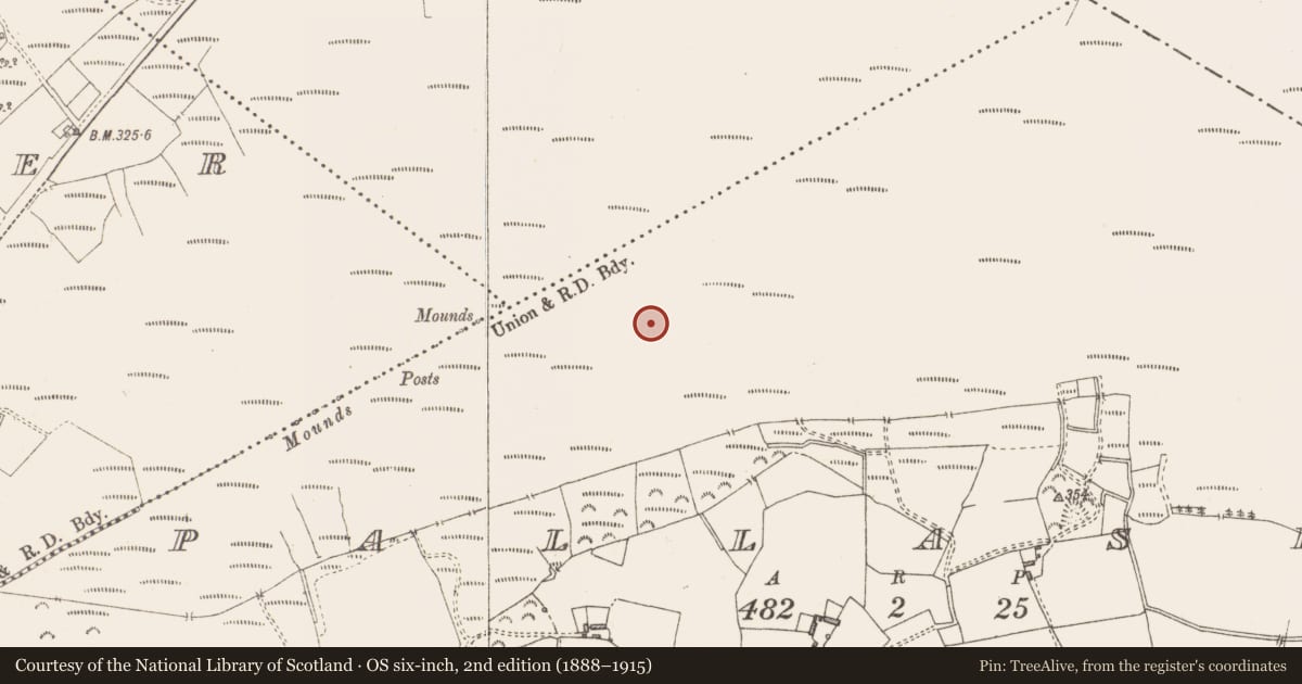 Ordnance Survey six-inch map, 2nd edition (1888–1915) covering the location of Structure - peatland, Pallasboy, County Westmeath, with a pin at the register's coordinates
