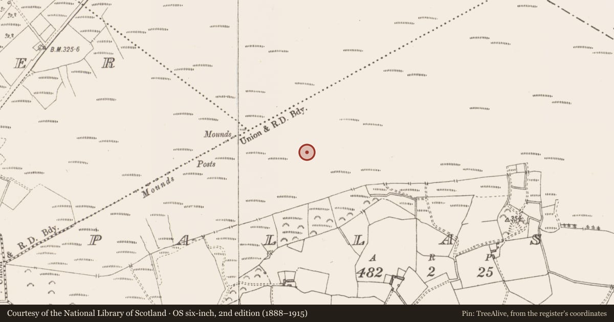 Ordnance Survey six-inch map, 2nd edition (1888–1915) covering the location of Road - class 3 togher, Pallasboy, County Westmeath, with a pin at the register's coordinates