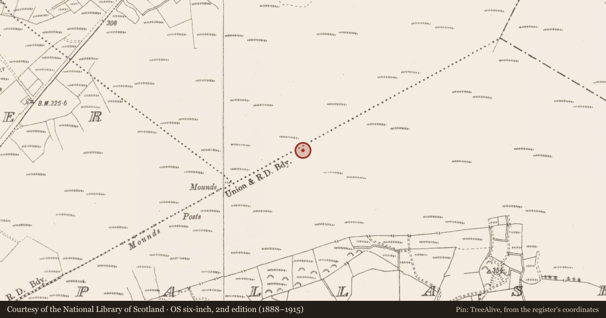 Ordnance Survey six-inch map, 2nd edition (1888–1915) covering the location of Road - class 3 togher, Pallasboy, County Westmeath, with a pin at the register's coordinates