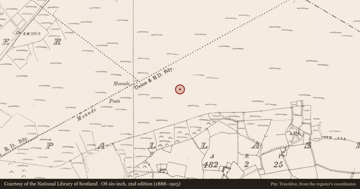 Ordnance Survey six-inch map, 2nd edition (1888–1915) covering the location of Structure - peatland, Pallasboy, County Westmeath, with a pin at the register's coordinates