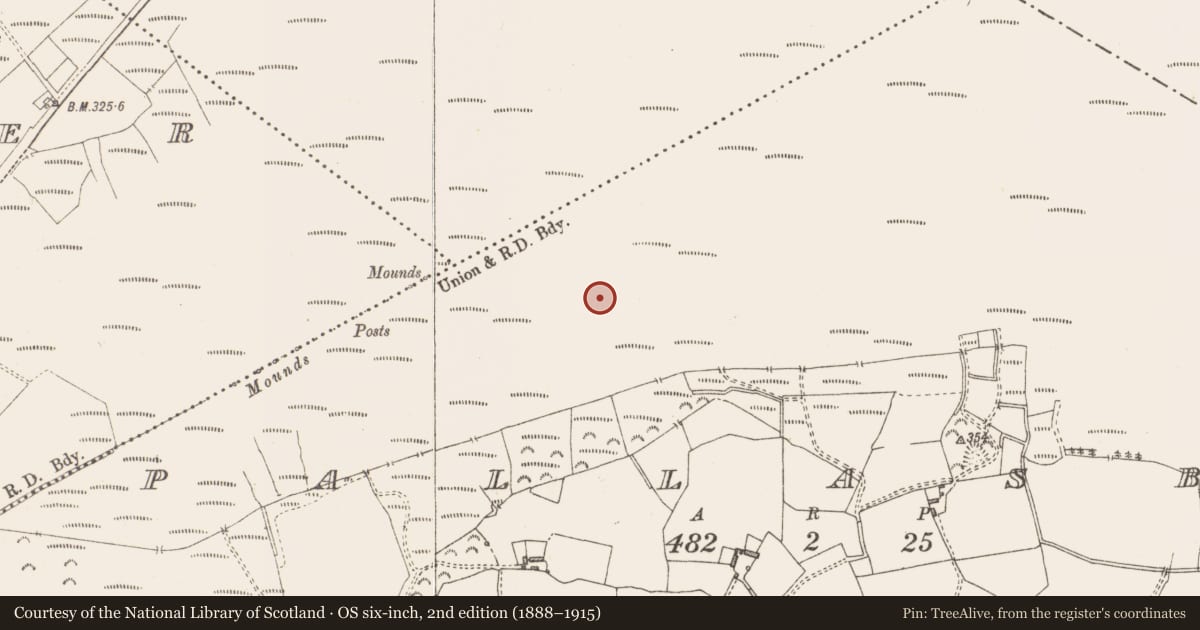 Ordnance Survey six-inch map, 2nd edition (1888–1915) covering the location of Structure - peatland, Pallasboy, County Westmeath, with a pin at the register's coordinates
