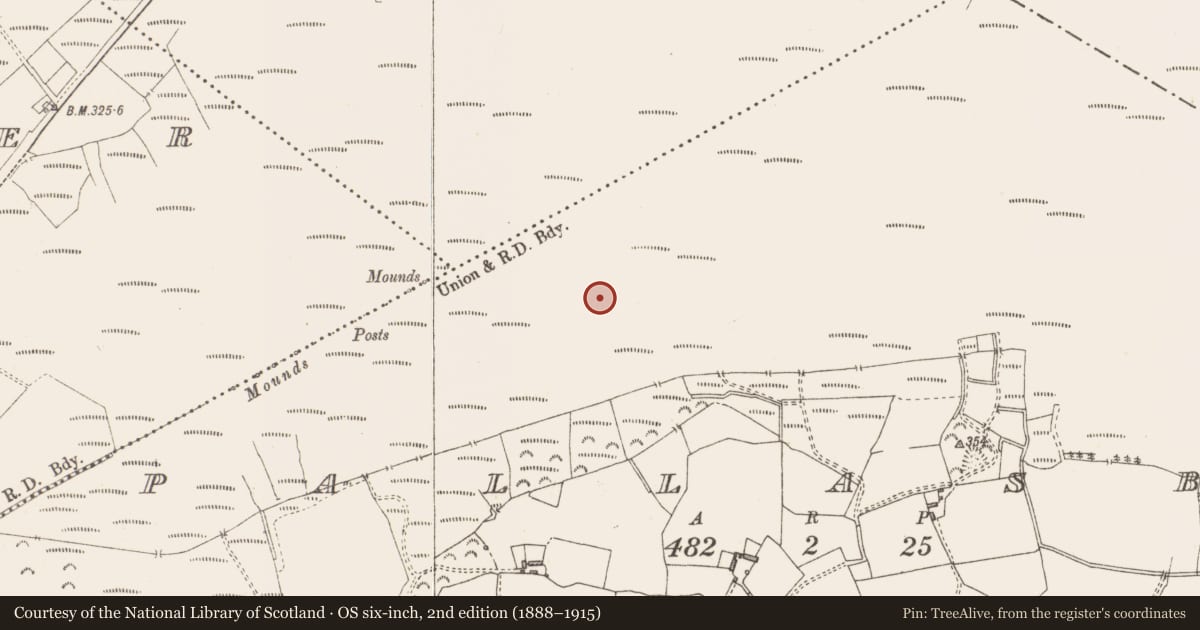 Ordnance Survey six-inch map, 2nd edition (1888–1915) covering the location of Structure - peatland, Pallasboy, County Westmeath, with a pin at the register's coordinates