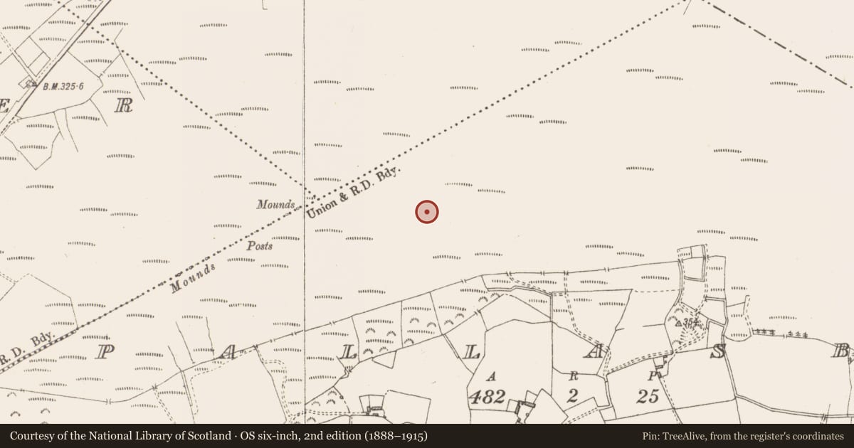 Ordnance Survey six-inch map, 2nd edition (1888–1915) covering the location of Structure - peatland, Pallasboy, County Westmeath, with a pin at the register's coordinates