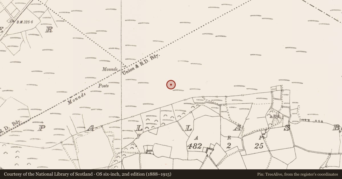 Ordnance Survey six-inch map, 2nd edition (1888–1915) covering the location of Structure - peatland, Pallasboy, County Westmeath, with a pin at the register's coordinates