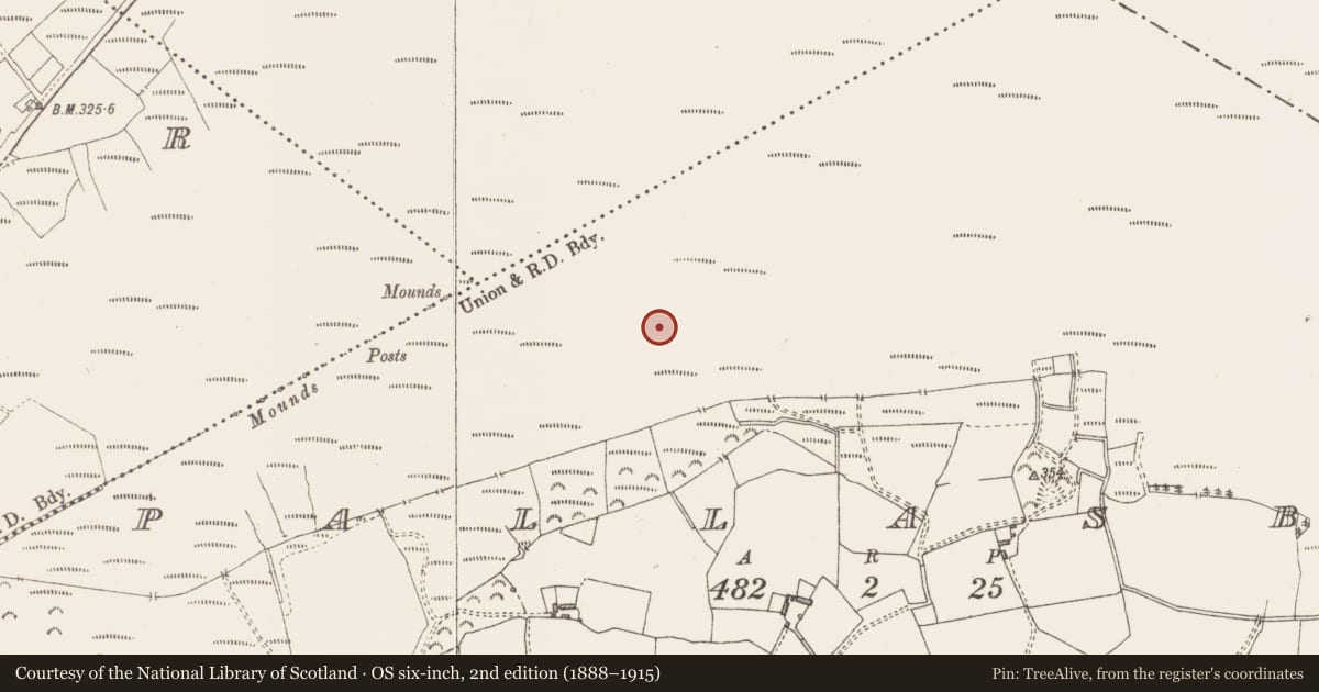 Ordnance Survey six-inch map, 2nd edition (1888–1915) covering the location of Structure - peatland, Pallasboy, County Westmeath, with a pin at the register's coordinates