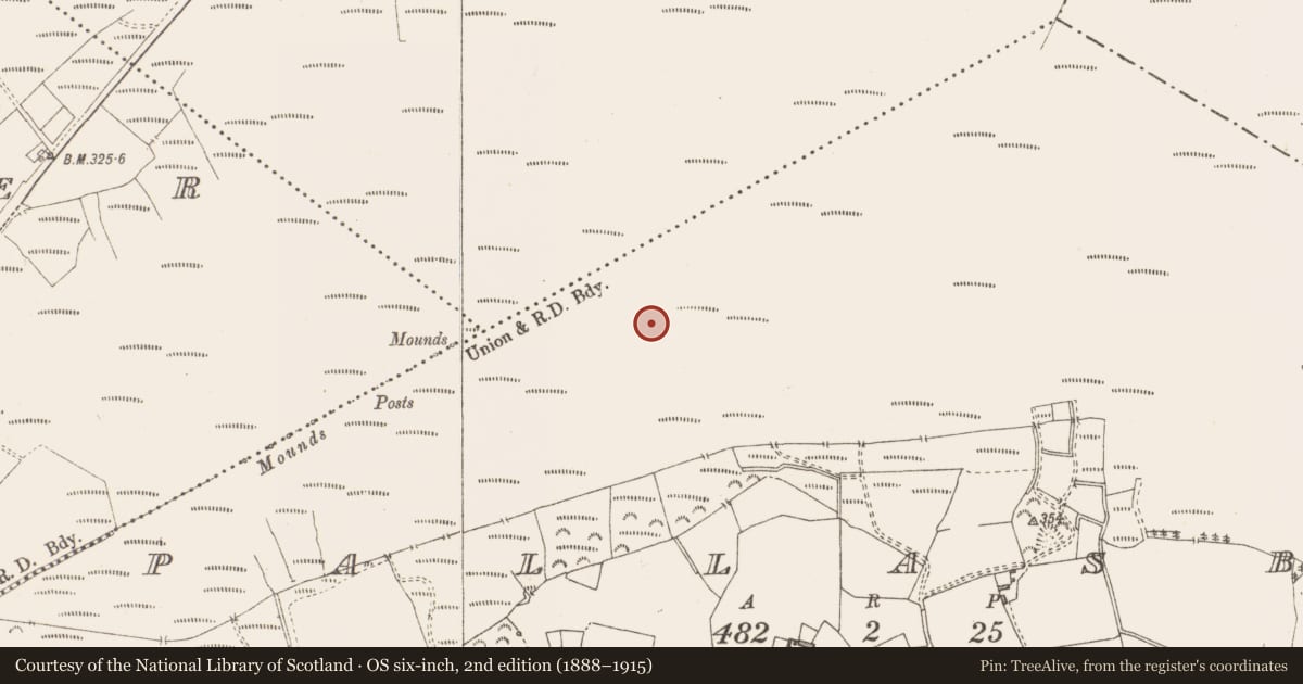 Ordnance Survey six-inch map, 2nd edition (1888–1915) covering the location of Structure - peatland, Pallasboy, County Westmeath, with a pin at the register's coordinates