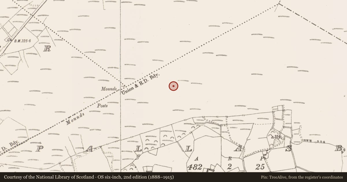 Ordnance Survey six-inch map, 2nd edition (1888–1915) covering the location of Structure - peatland, Pallasboy, County Westmeath, with a pin at the register's coordinates