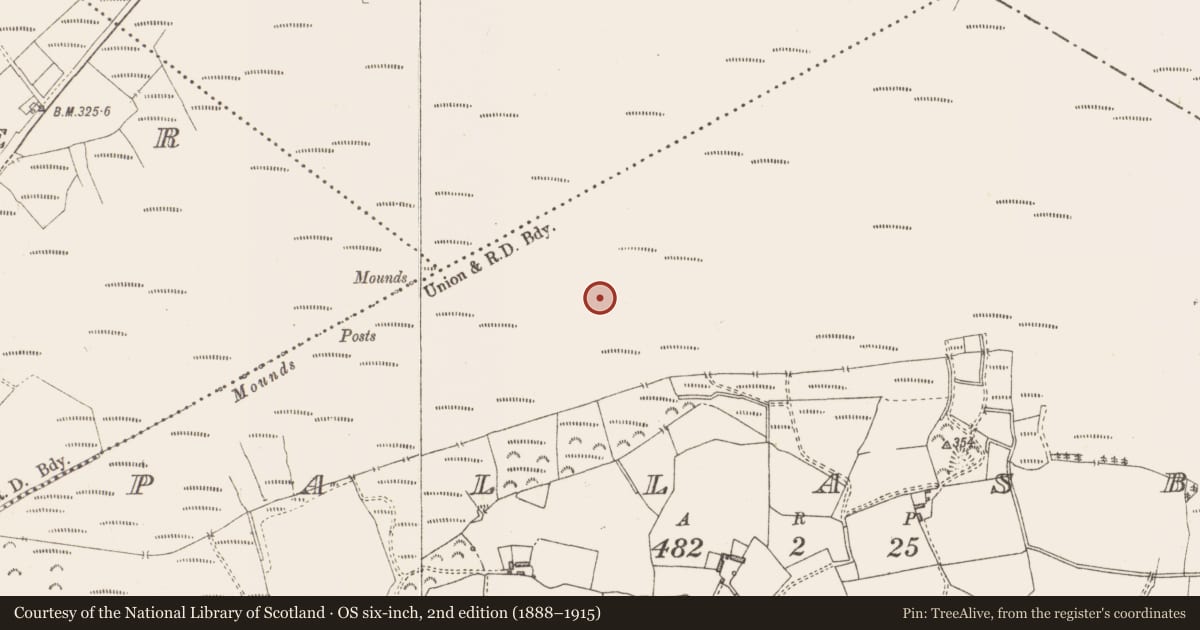 Ordnance Survey six-inch map, 2nd edition (1888–1915) covering the location of Structure - peatland, Pallasboy, County Westmeath, with a pin at the register's coordinates
