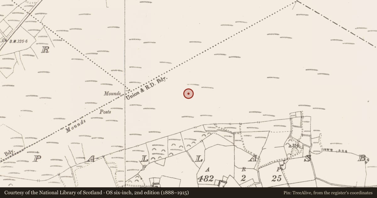Ordnance Survey six-inch map, 2nd edition (1888–1915) covering the location of Road - class 3 togher, Pallasboy, County Westmeath, with a pin at the register's coordinates