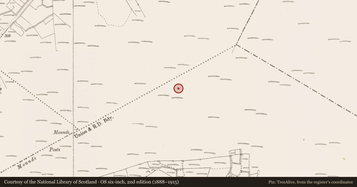 Ordnance Survey six-inch map, 2nd edition (1888–1915) covering the location of Road - class 3 togher, Pallasboy, County Westmeath, with a pin at the register's coordinates