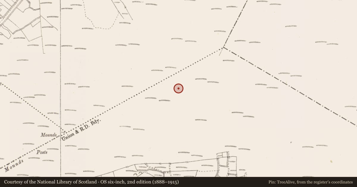 Ordnance Survey six-inch map, 2nd edition (1888–1915) covering the location of Structure - peatland, Pallasboy, County Westmeath, with a pin at the register's coordinates
