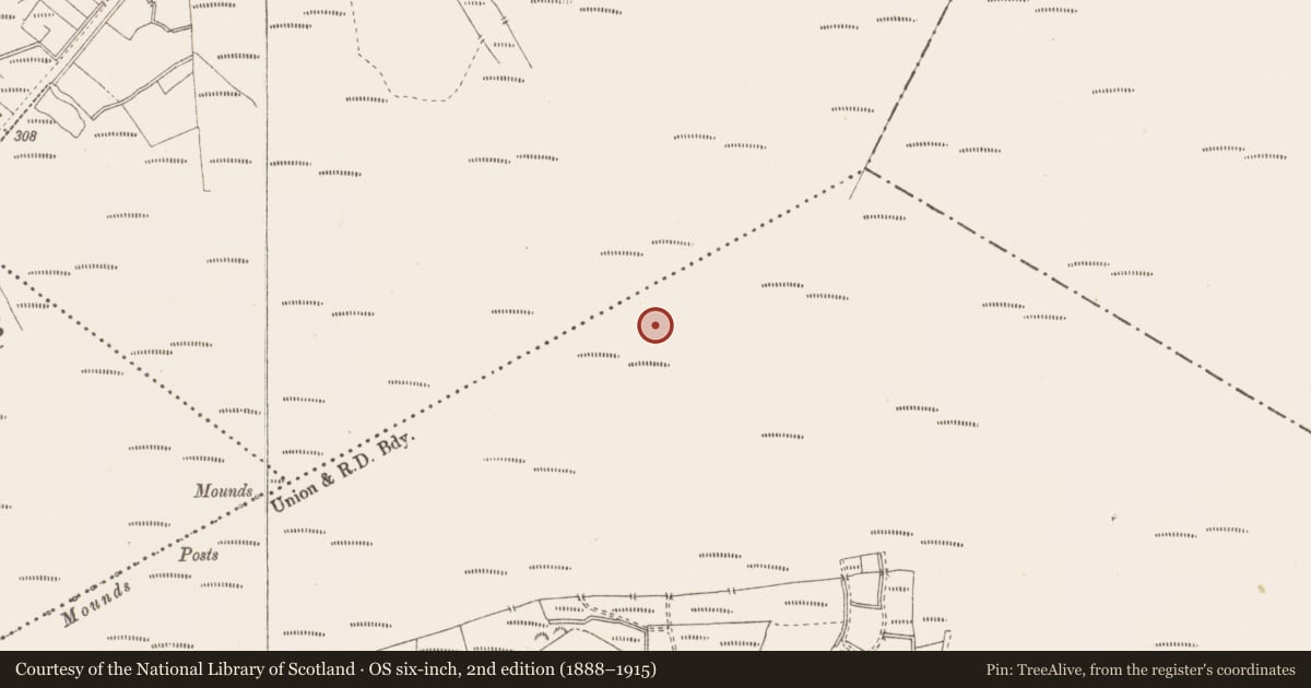 Ordnance Survey six-inch map, 2nd edition (1888–1915) covering the location of Structure - peatland, Pallasboy, County Westmeath, with a pin at the register's coordinates