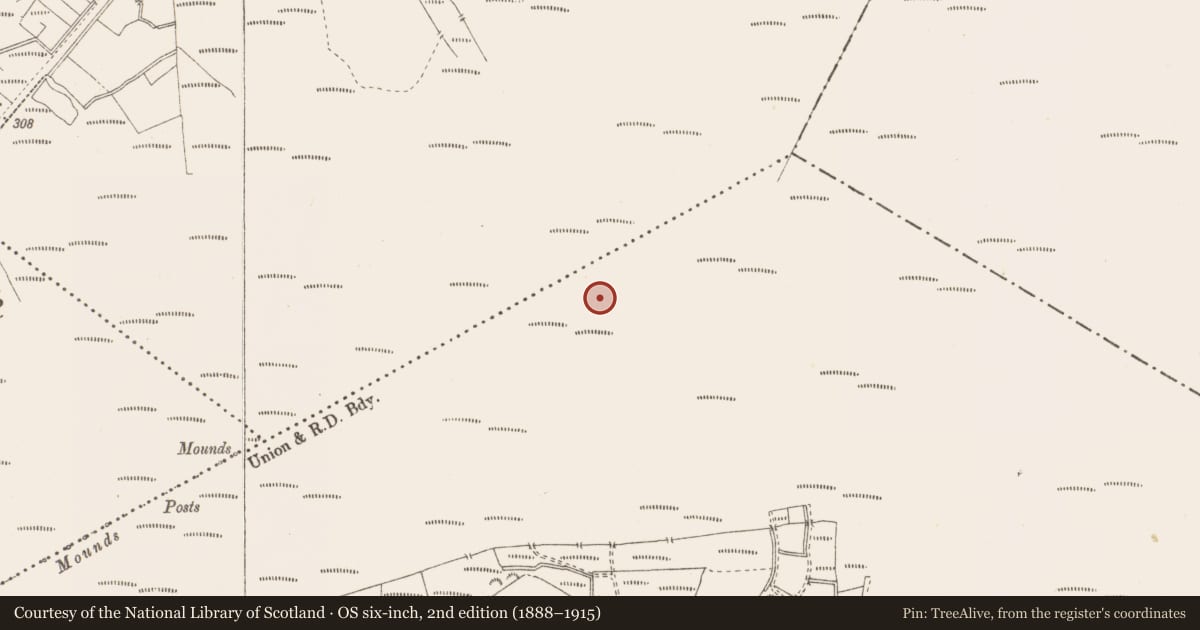 Ordnance Survey six-inch map, 2nd edition (1888–1915) covering the location of Road - class 3 togher, Pallasboy, County Westmeath, with a pin at the register's coordinates